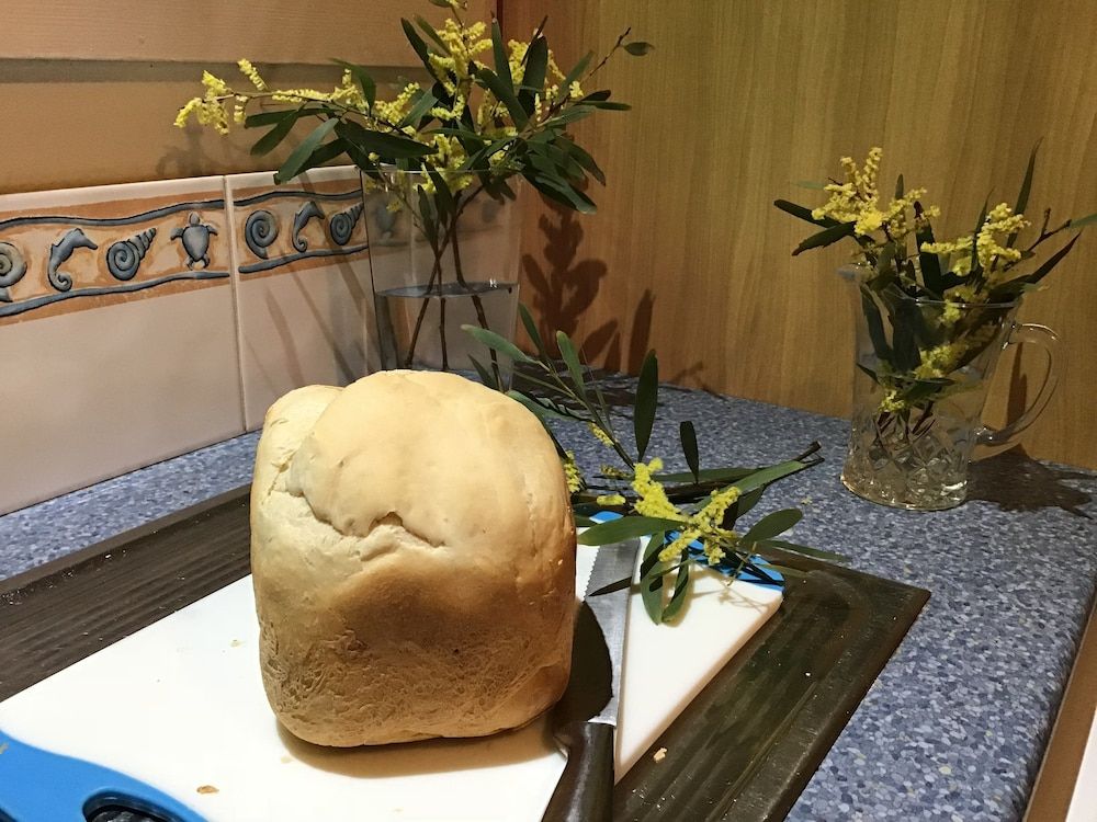 Koopalanda Dreaming 3