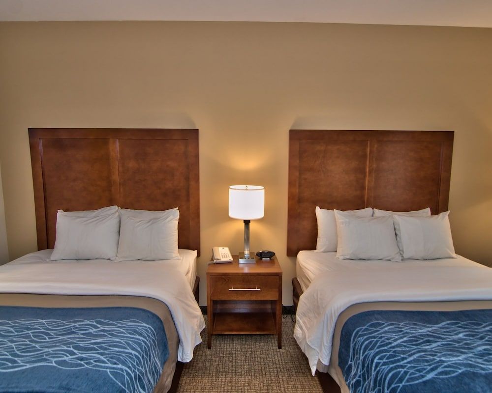 Comfort Inn Apalachin / Binghamton W Route 17 3