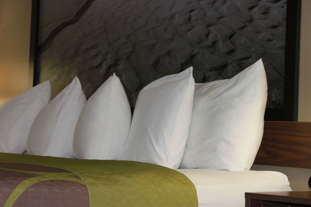 Super 8 by Wyndham Manistee 3