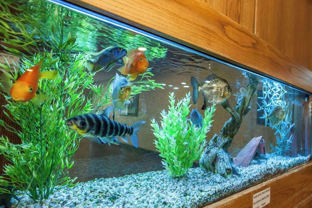 Quality Inn Conference Center Logansport 2