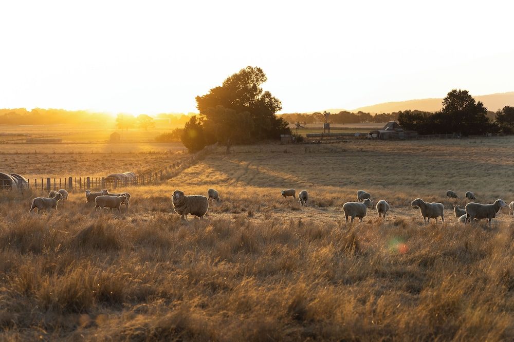Cleveland Estate 4 estrelas em Lancefield
