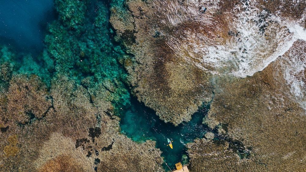 White Grass Ocean Resort -1 estrelas em Tanna