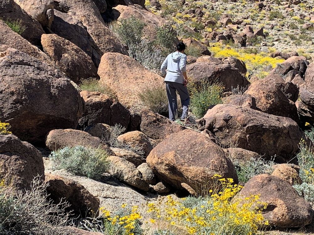 Starlight Inn & Suites Motel 29 Palms Joshua Tree National Park 3 estrelas em Twentynine Palms