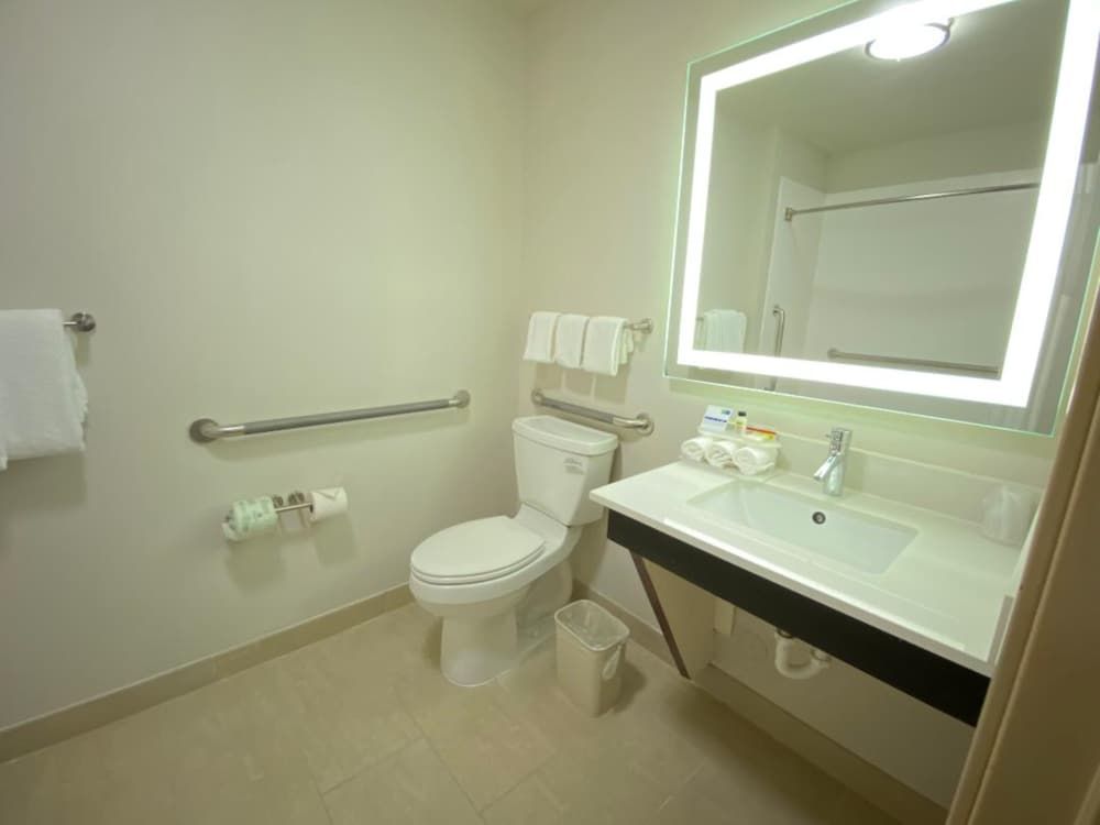 Holiday Inn Express Hotel & Suites Gadsden W-Near Attalla by IHG 2