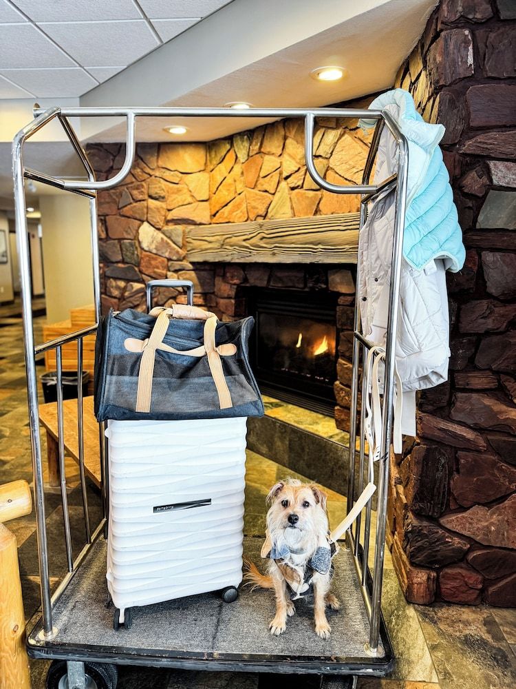 Pine Mountain Ski & Golf Resort 3