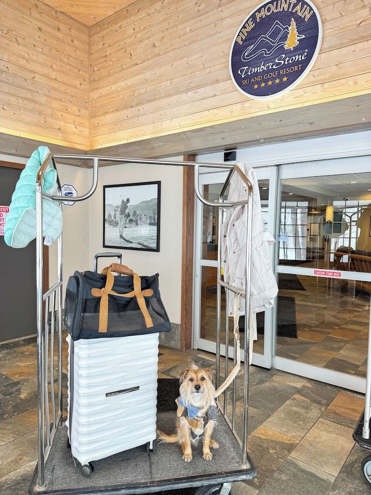 Pine Mountain Ski & Golf Resort 2