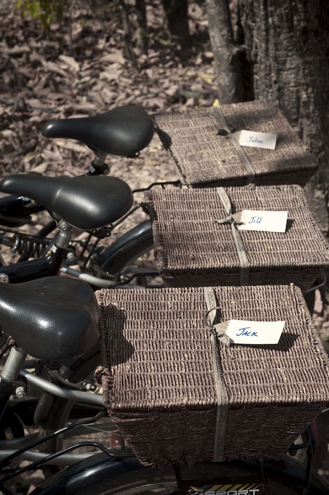 Pashan Garh, Panna National Park 3