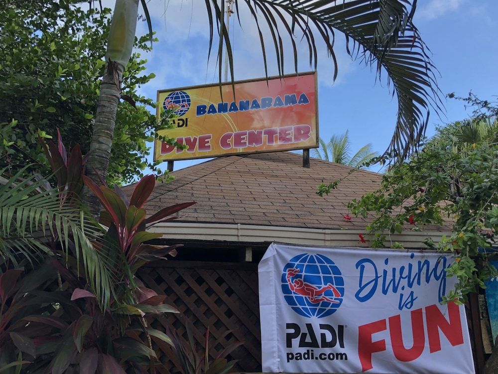 Bananarama Dive & Beach Resort 3