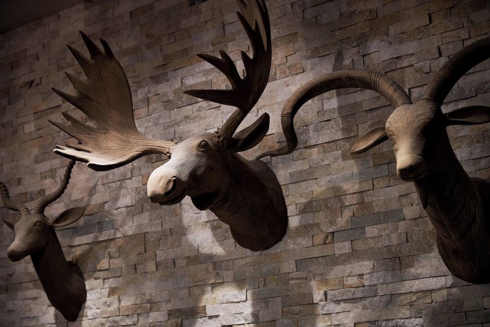 Charleston Kiawah Island/Andell Inn 2