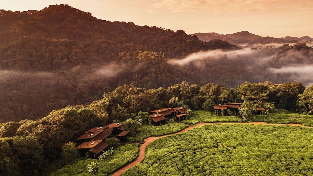 One&Only Nyungwe House 5 estrellas en Rwumba