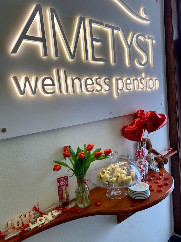 Wellness Pension Ametyst 2