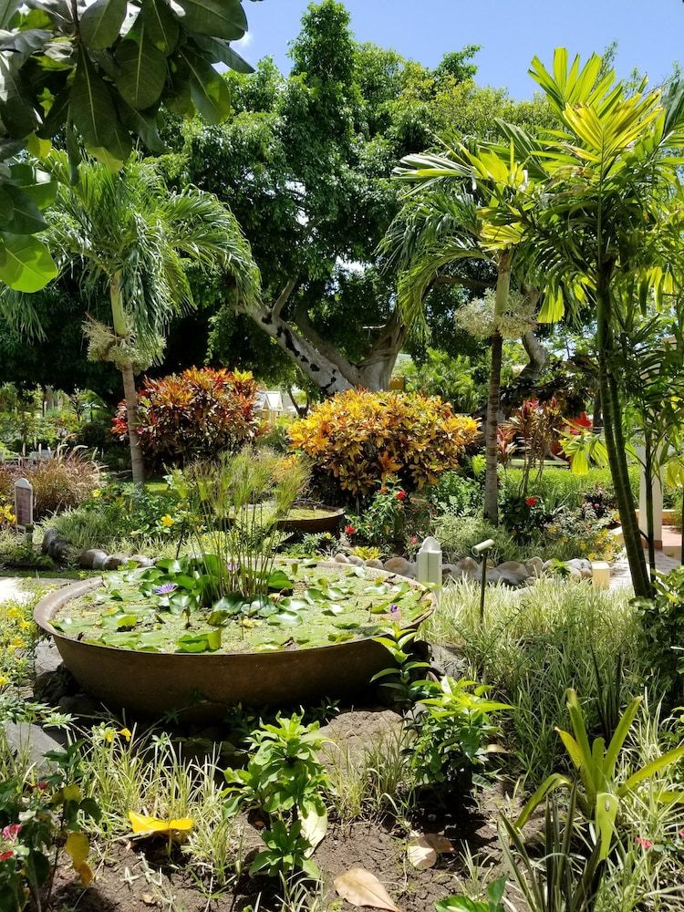 Blue Horizons Garden Resort 2