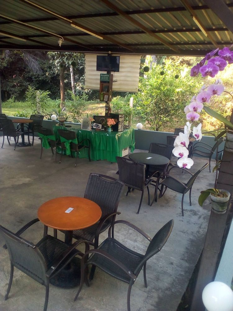 Green Peace Sungai Lembing 3