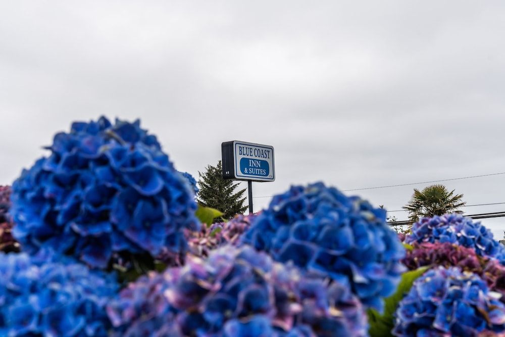 Blue Coast Inn and Suites -1 estrelas em Brookings