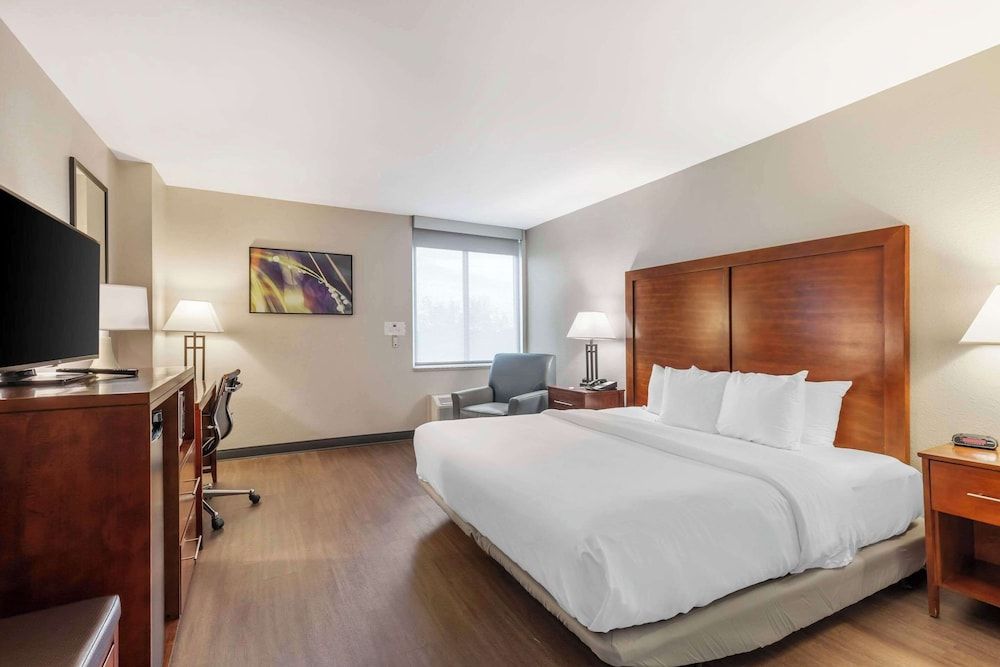 Comfort Inn Conference Center Airport Area 3