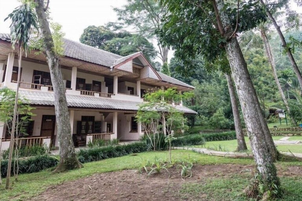 Ecolodge Bukit Lawang 3