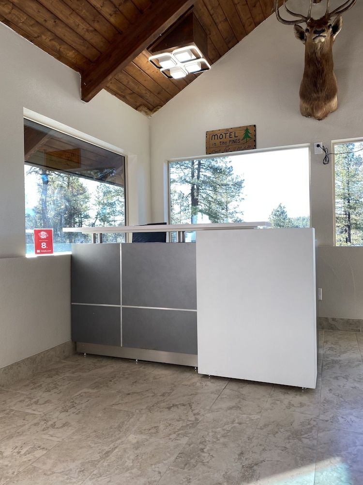 Motel In The Pines 3