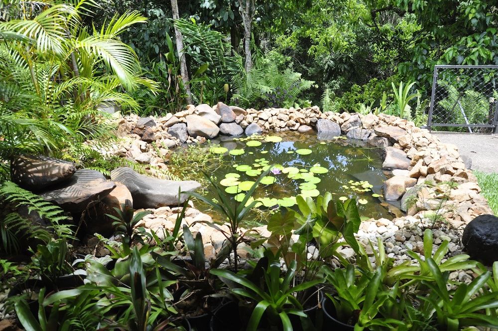 Tropical Bliss BNB 3