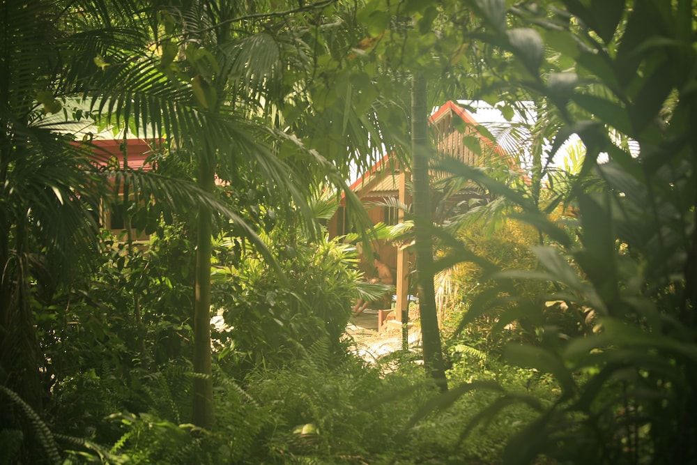 Tropical Bliss BNB -1 estrelas em Mena Creek