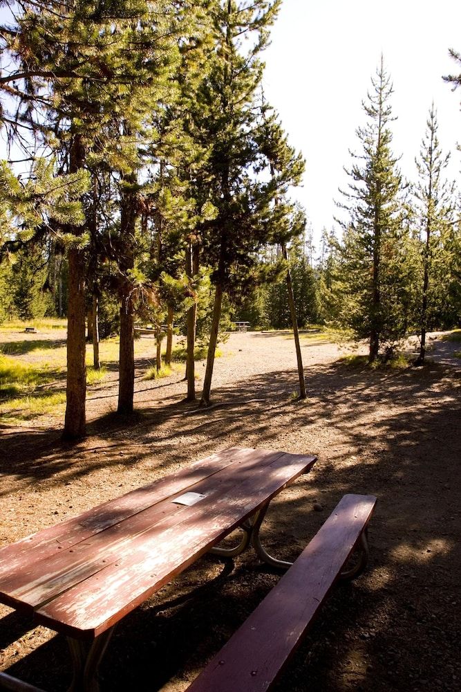 Headwaters Lodge & Cabins at Flagg Ranch 2