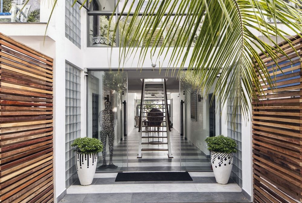 Owl and the Pussycat 2