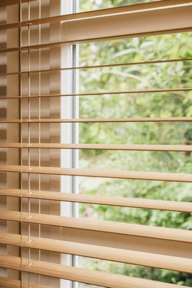 Zoomers aan het Bos 2