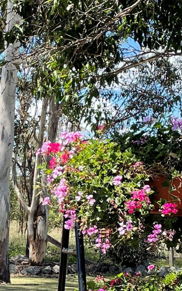 Crows Nest Motel 4 estrelas em Crows Nest