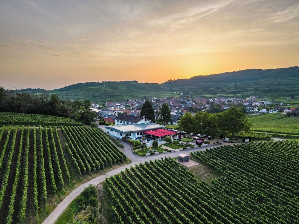 Köpfers Steinbuck -1 estrelas em Bischoffingen