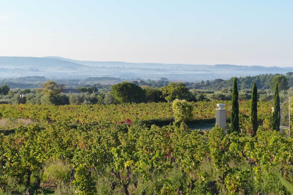 Château de Valloubière -1 estrelas em Saint-Jean-de-Fos