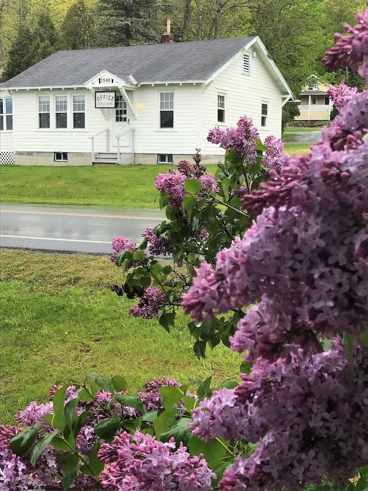 Lake Bomoseen Lodge 2