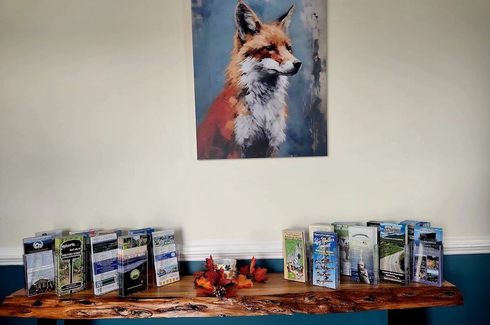 Fox Mountain Inn 2 estrelas em Max Meadows