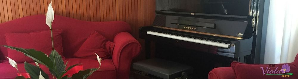 Hotel Viola 2
