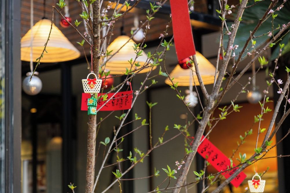 Seahorse Han Market Da Nang Hostel by Haviland 3