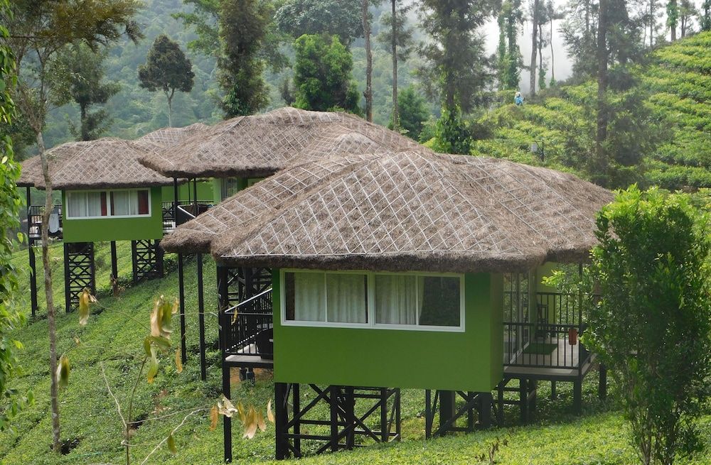 Wild Planet Resort 3