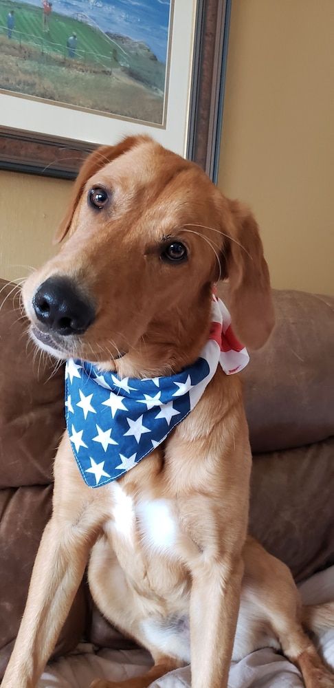 Travelers Lodge Motel Marshall 2