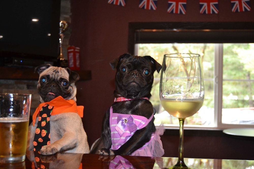 Redwoods River Resort 2