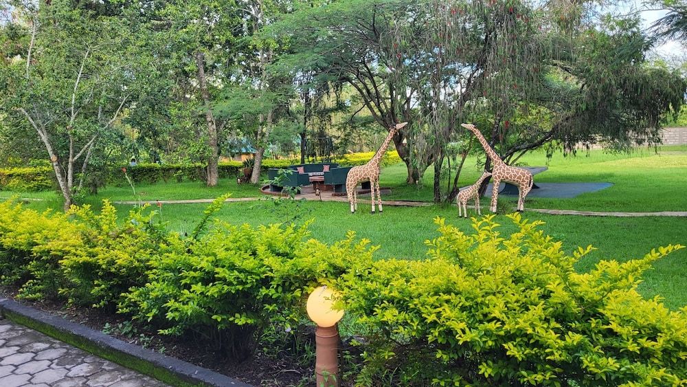 Meru View Lodge -1 estrelas em Usa River