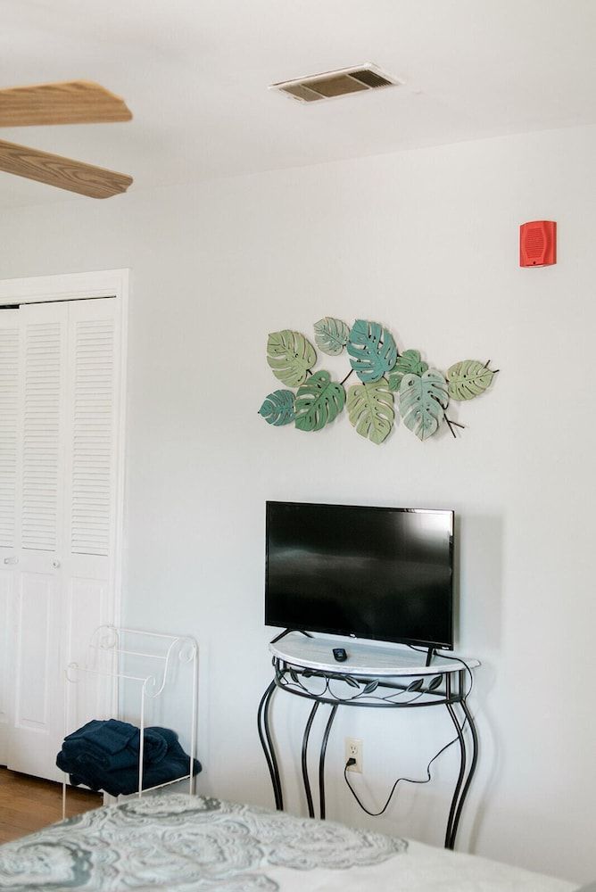 Georgia Palms & Gardens 2