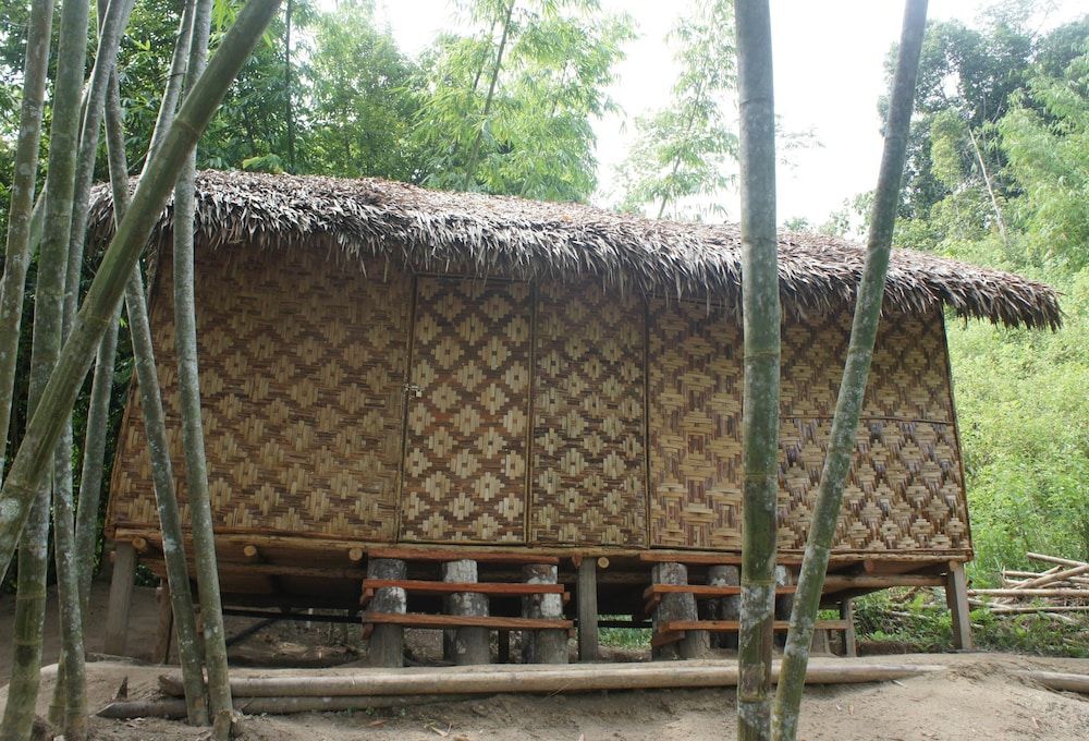 Rain Forest Inn -1 étoiles à Ringlet