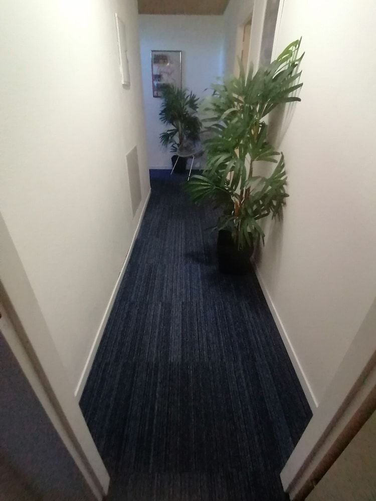 Chambre du Jardin Fleuri 3