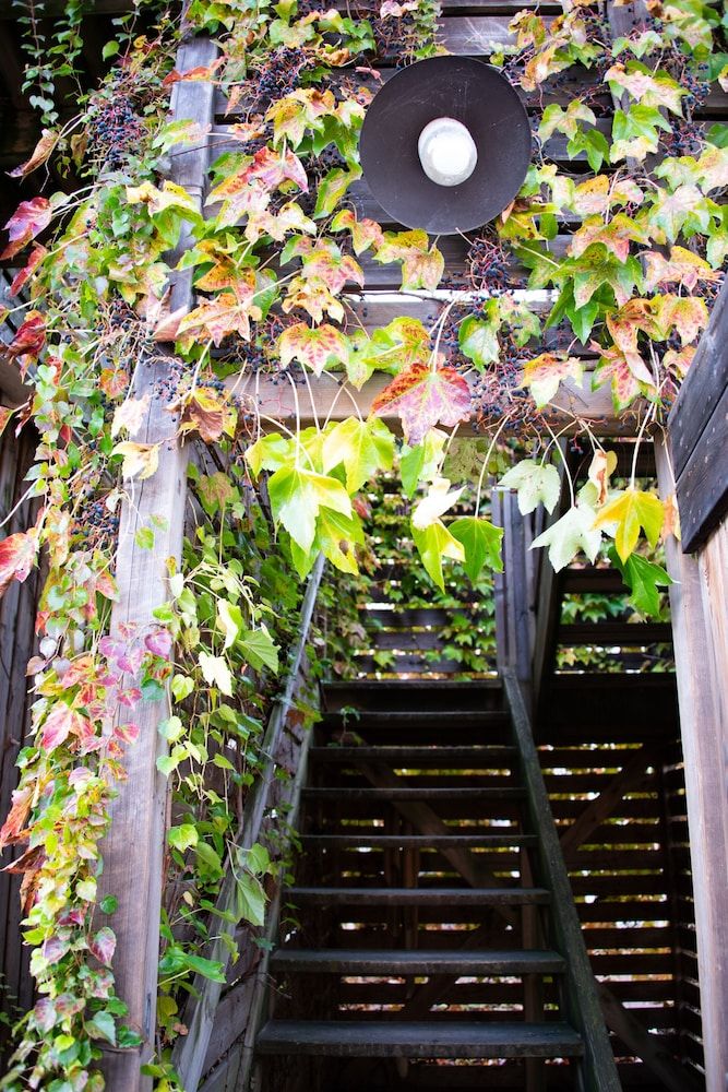 Domaine La Bonne Etoile 3