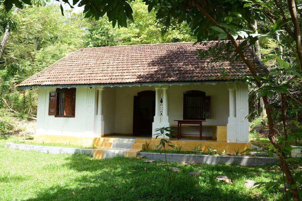 Jungle house 1