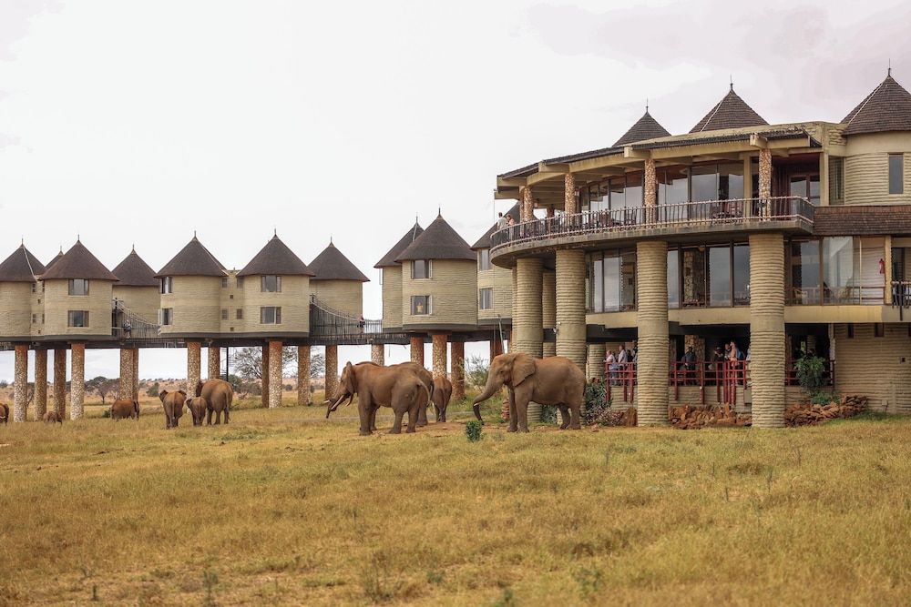 Salt Lick Safari Lodge 5 estrelas em Tsavo