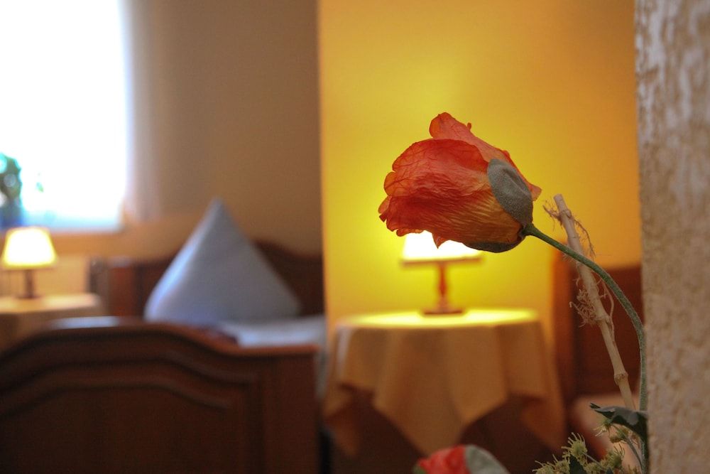 Das Wolfshotel Am Arendsee 3