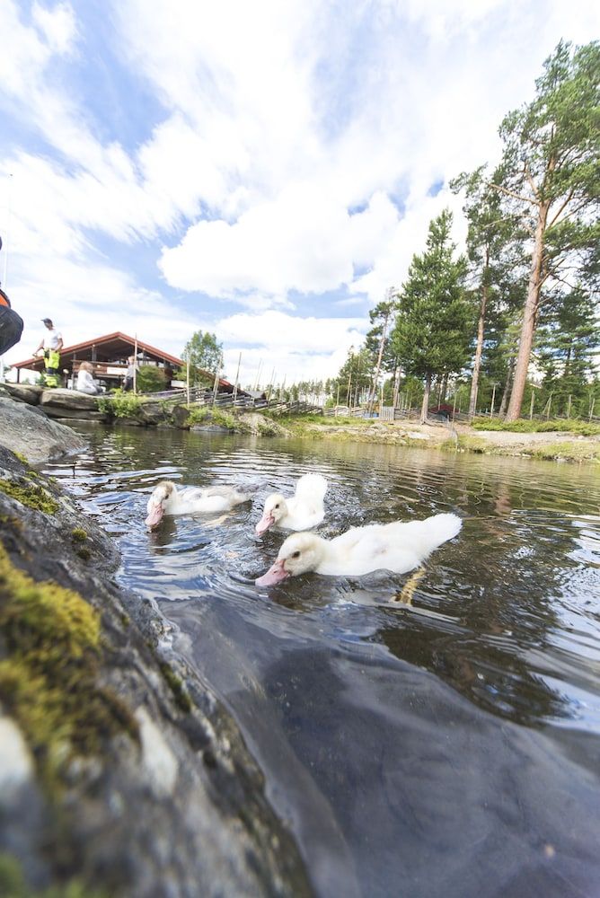 DombÔøΩs Hostel -1 estrelas em Dombås