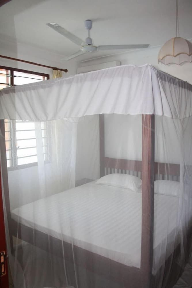 Morning Star Diani 3