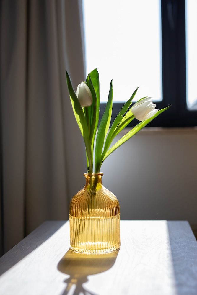 Grand Hotel Beatrix 2