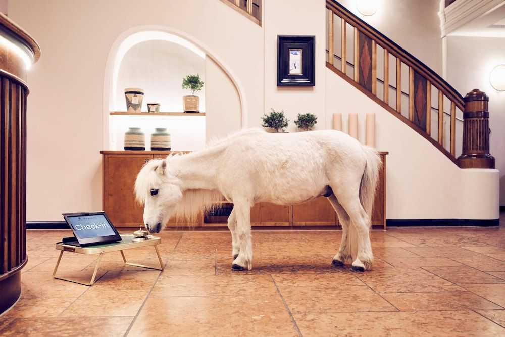 Hotel Gutsgasthof Stangl 2