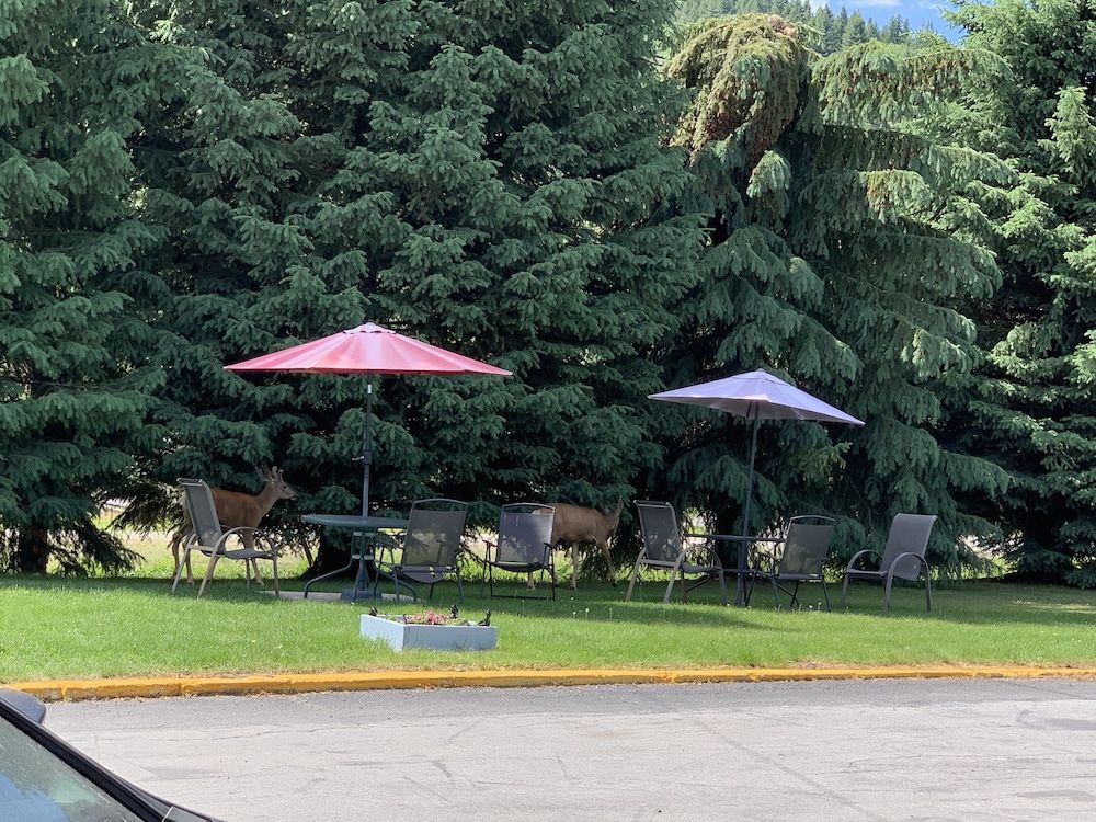 Evening Star Motel -1 étoiles à Greenwood