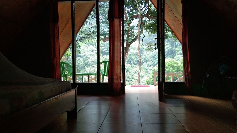 Green Forest Tangkahan 3